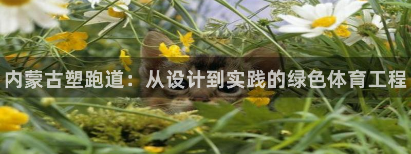 尊龙凯时官网网页版:内蒙古塑跑道:从设计到实践的绿色体育工程